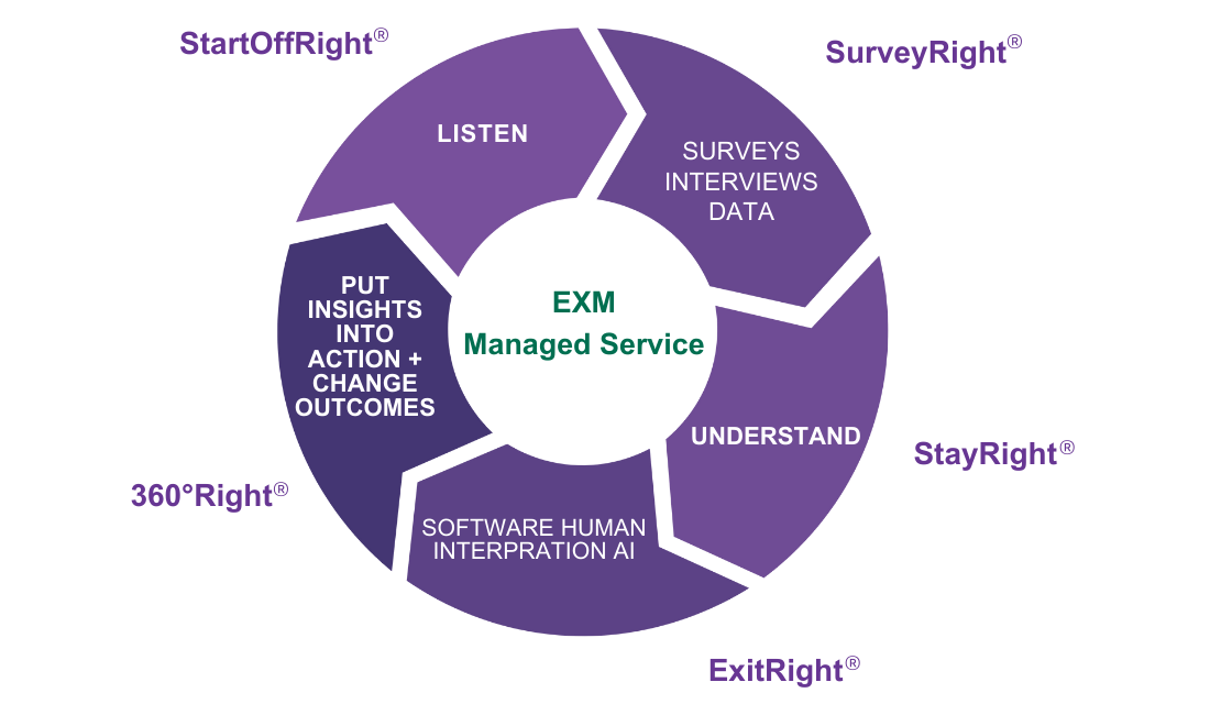 EXM Process Wheel